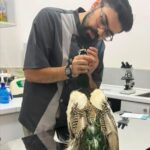 ویزیت آنلاین پرندگان